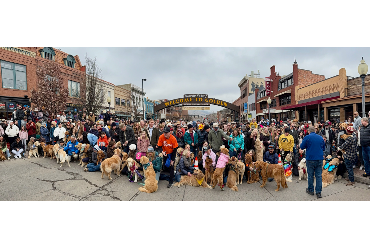 Candid Goldens in Golden group photo