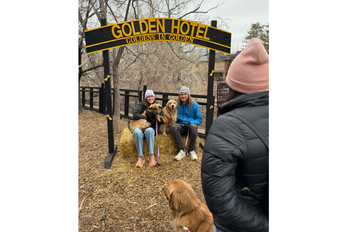 A couple with their two golden retrievers under the Golden Hotel's welcome arch photo booth in downtown Golden CO