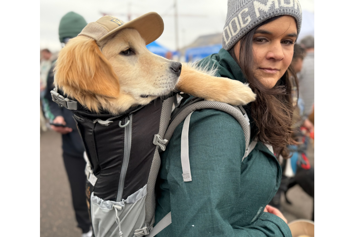 A golden retriever in a backpack wearing a ball cap and their owner at Goldens in Golden CO