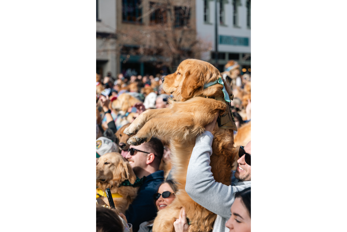 KatieAndJoeOnTheGo_Goldens in Golden 2026-5780