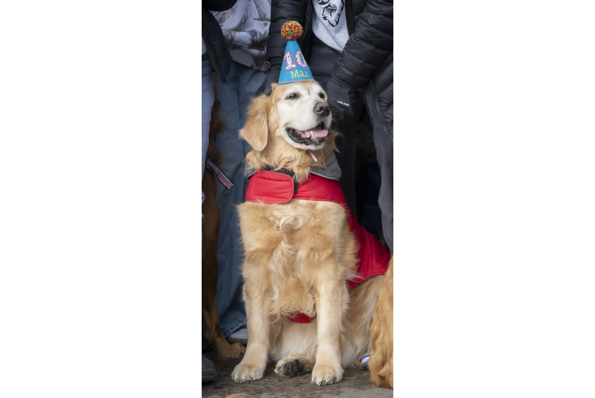 Rocky Mountain Pet Portraits 2-8-2025 23