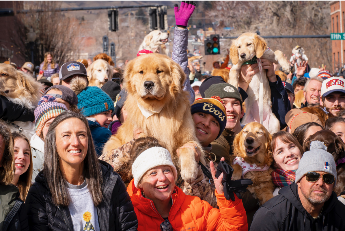 People holding up their dogs for the group photo shoot at Goldens in Golden