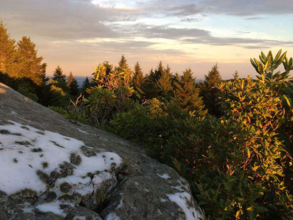 The Wildland Trekking Company Asheville NC s Official Travel Site
