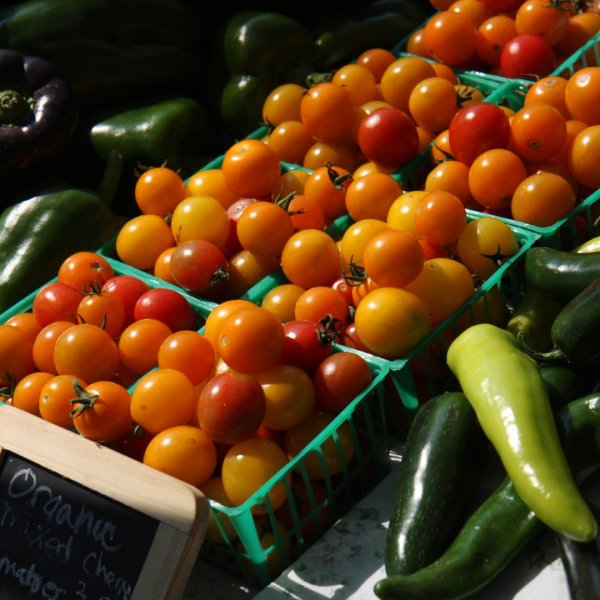 Tomatoes at the Farmers' Market