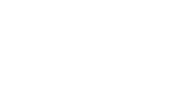 Norman Sports Logo white