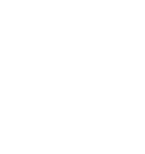 Newcastle-under-Lyme Logo