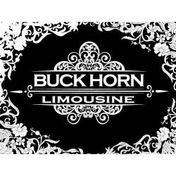 Buckhorn_Limousine_Logo