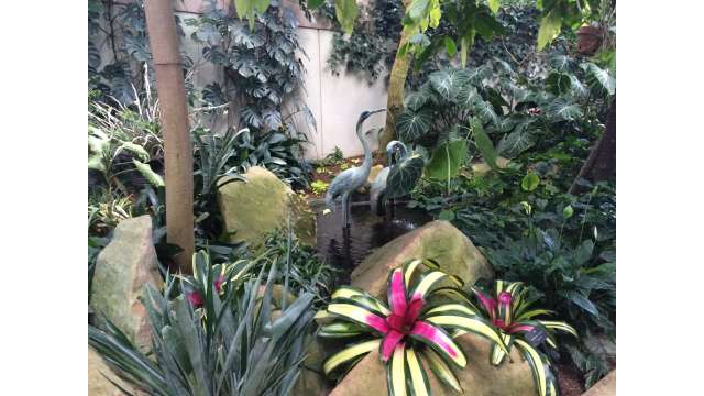 State Botanical Garden of Georgia Tropical Conservatory