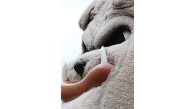 Hairy Dawg, closeup