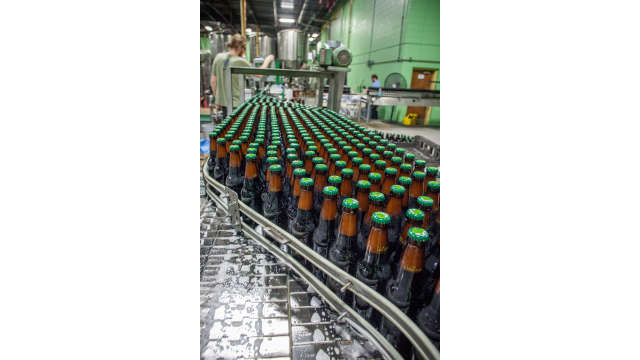 Terrapin Conveyor Belt