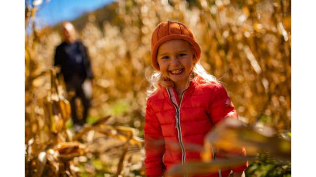 Navigating at New River Corn Maze