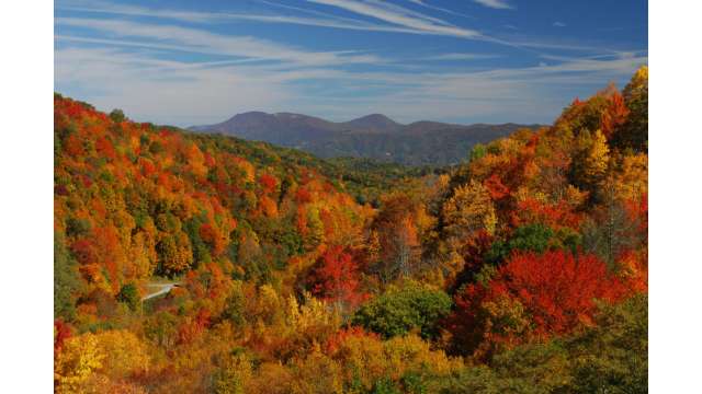 Fall Mountain View | Boone, NC