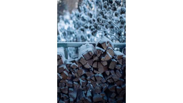 Firewood Bundled for Sale | Boone, NC