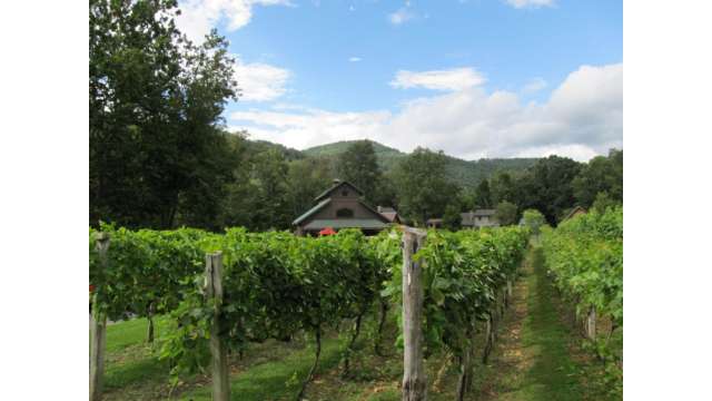 Grandfather Vineyards | Boone, NC