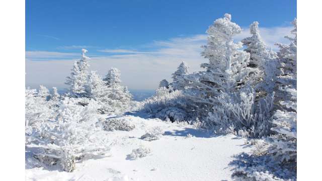 Grandfather Mountain Covered with Snow in February