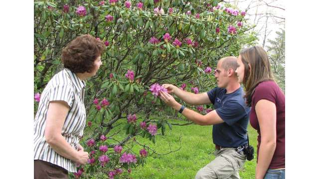 Naturalist Gabe Taylor and participants study the single flower of a Catawba rhododendron cluster
