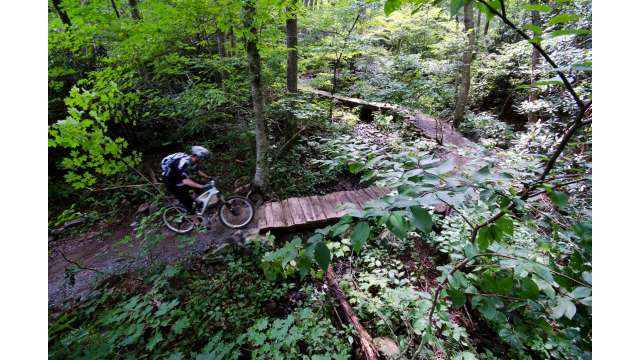 Rocky Knob Mountain Bike Park | Boone, NC