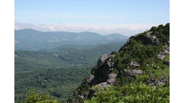 Summer View on Grandfather Mountain | Linville