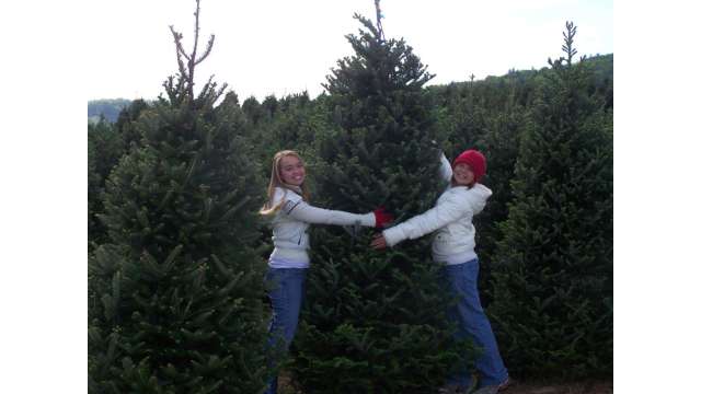 Real Christmas Trees Inspire Hugs | Boone, NC