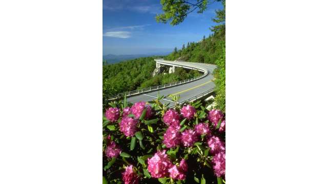 Linn Cove Viaduct in Spring | Blue Ridge Parkway MP 304