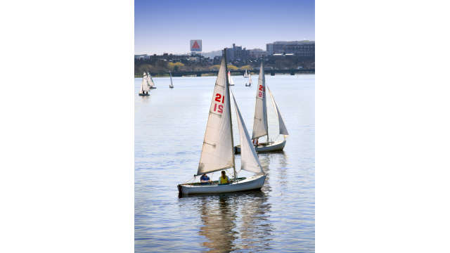 sail boats on the charles 0762 2-2