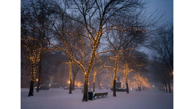 Snow covered Commonwealth Avenue Mall