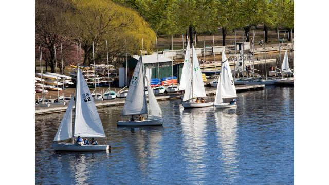 Spring Sail Boats_0786-4