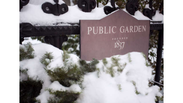 Public Garden in hibernation.