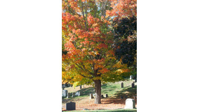 South Parish Cemetery, Andover , MA