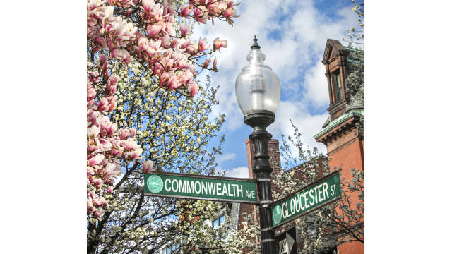Back Bay Blooms - Commonwealth Ave