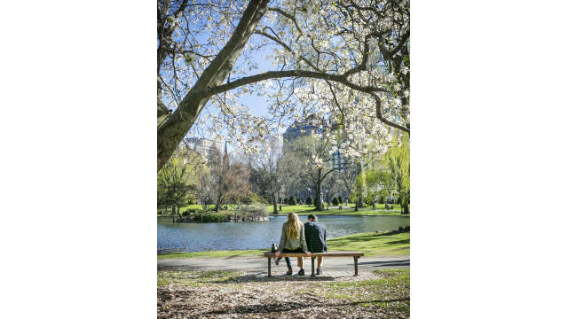 Public Garden couple in Spring