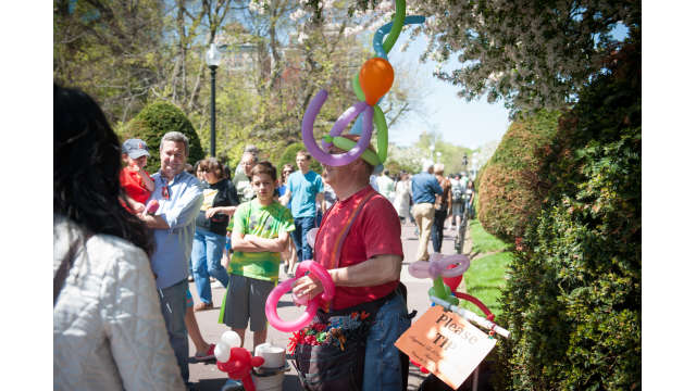 A balloon artist in the Public Garden