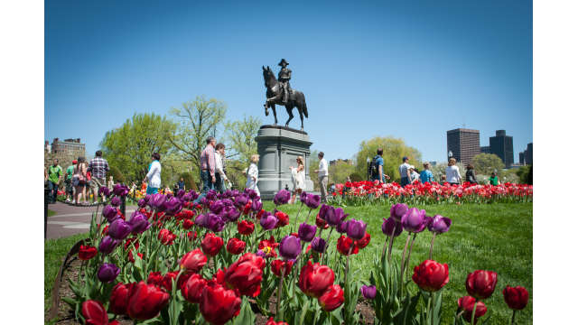 The George Washington Statue in springtime