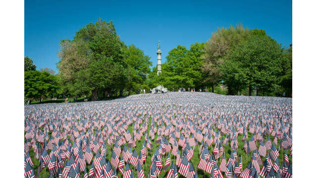 American flags displayed in the Common on Memorial Day weekend