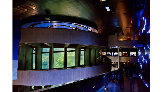 Renovated Giant Ocean Tank
