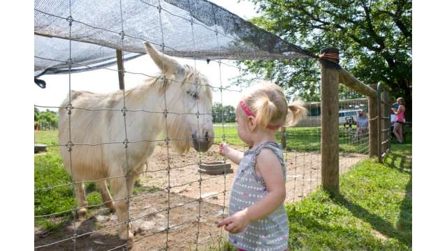 Paulus Farm Market