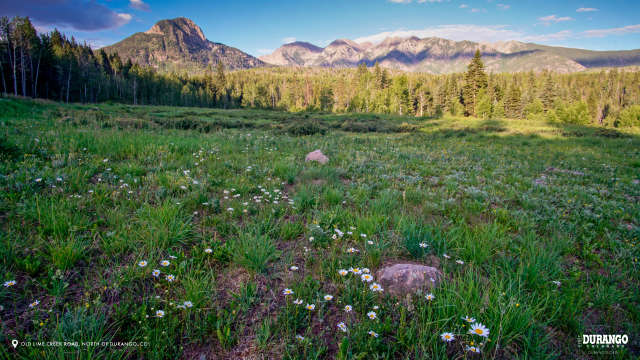 Lime Creek Road in Spring, Durango, CO