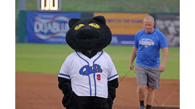 Fort Worth Cats Baseball