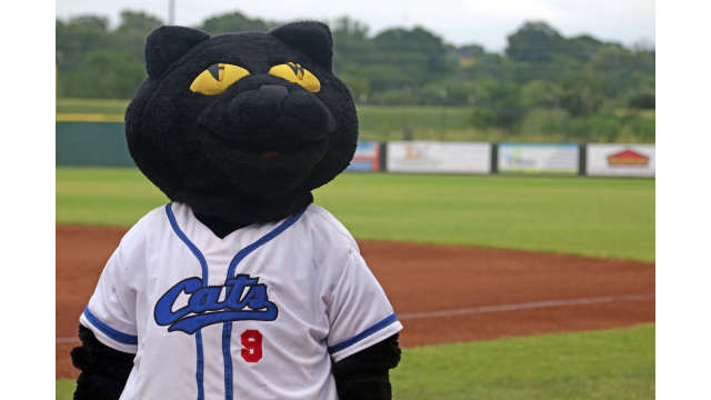 Fort Worth Cats Baseball