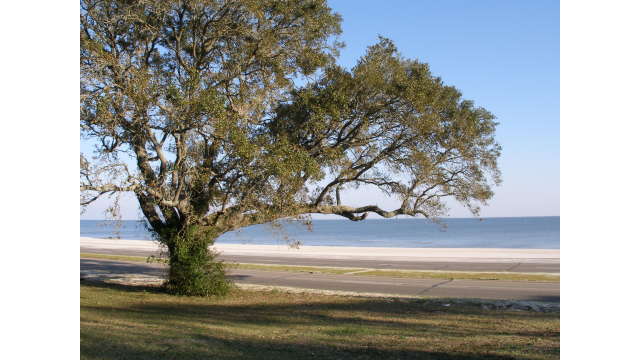 The Mississippi Sound from Pass Christian