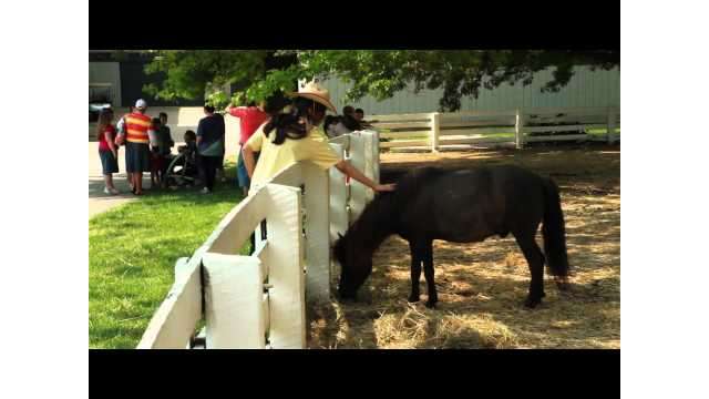 LexTreks: Kentucky Horse Park-Kids Barn