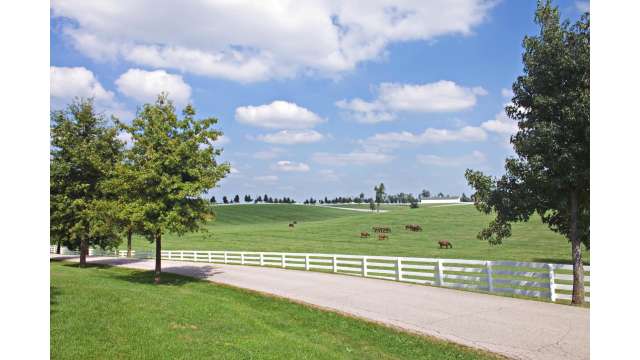 Scenic roadside in Lexington, KY