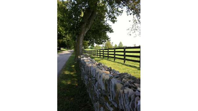 Picturesque Country Road