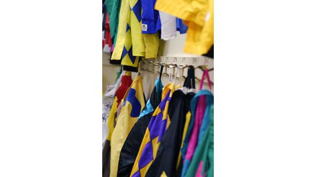 Colorful silks