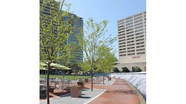 Triangle Park in the Spring