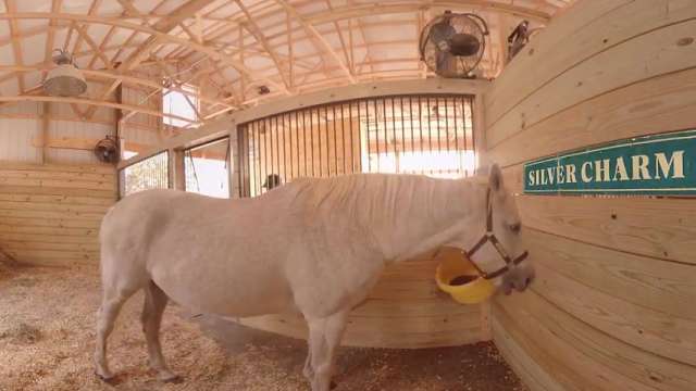 VisitLEX 360: Old Friends Farm