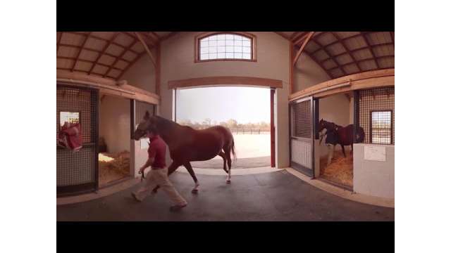 VisitLex 360: Taylor Made Farms