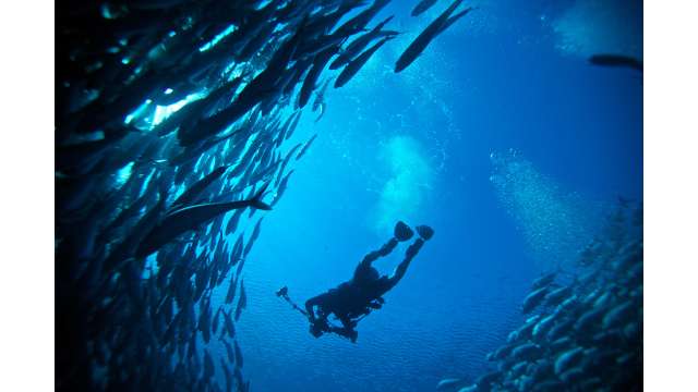 Diving Cabo San Lucas.jpg