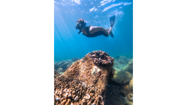 Snorkeling-1-gallery