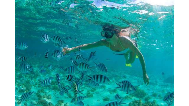 Snorkeling